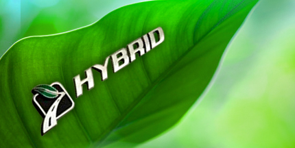 hybrid leaf